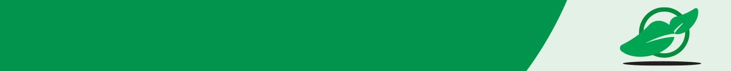 Read our Sustainability Report 2024
