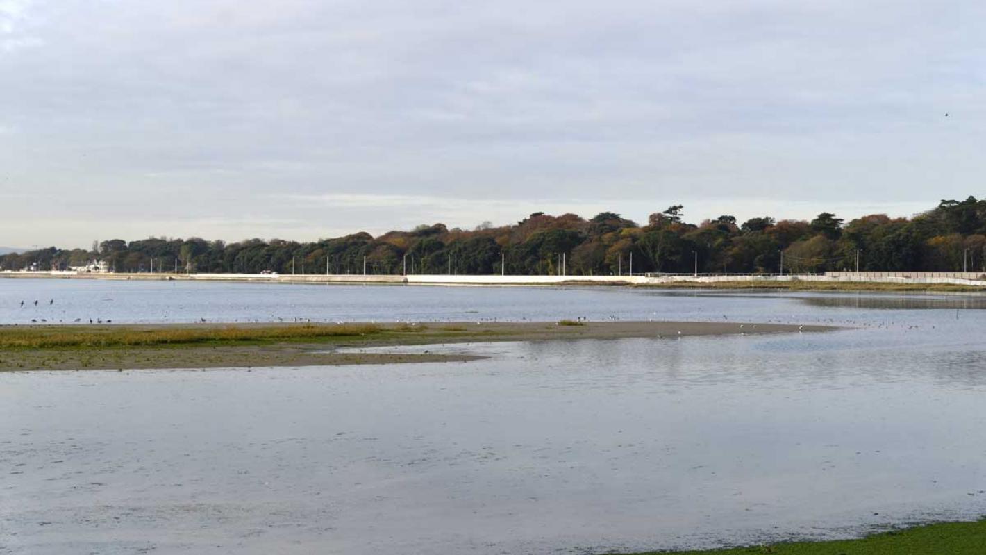 Dollymount Promenade and Flood Defence Banner Image 2