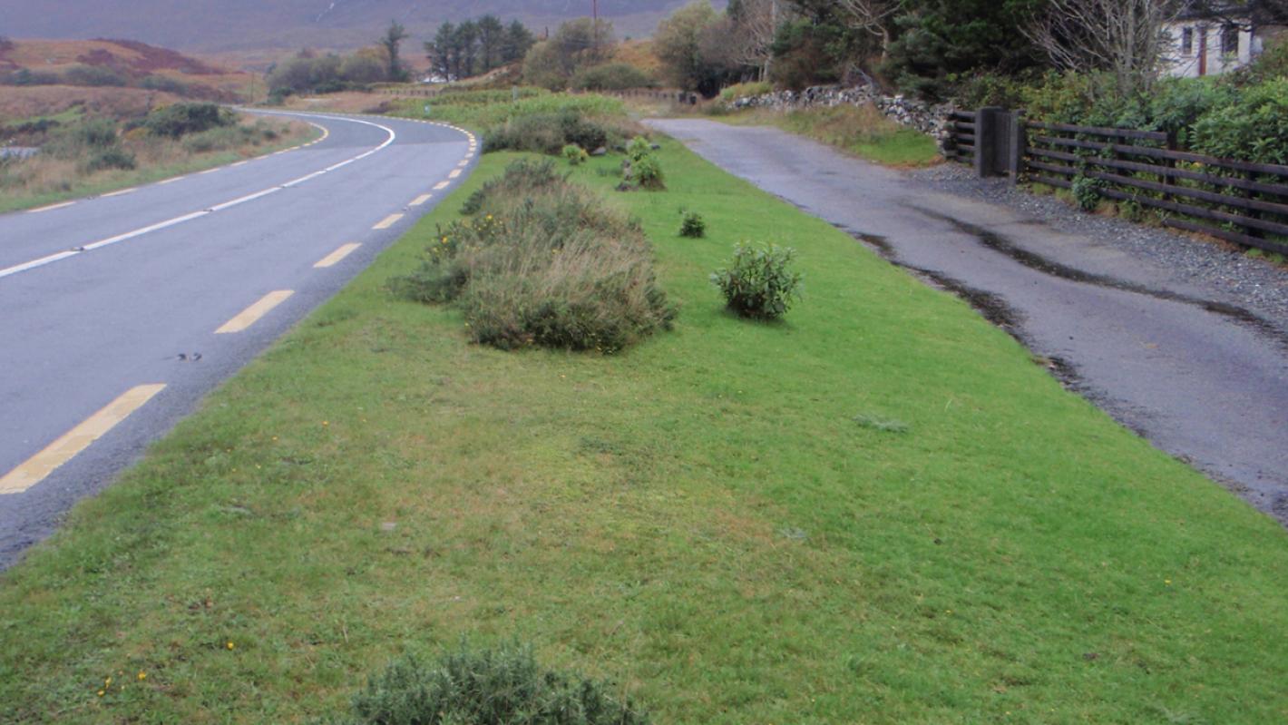 N59 Derrylea Cycleway