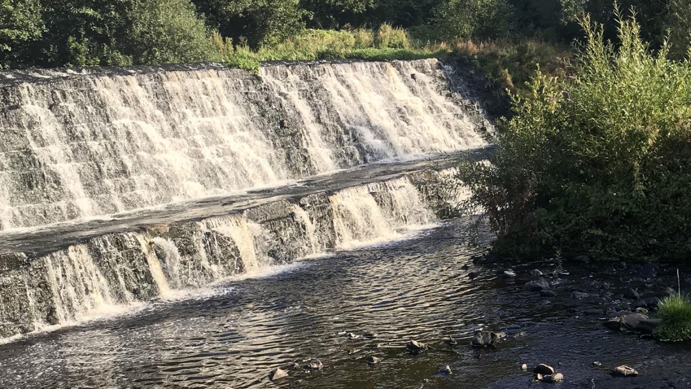 River Dodder Banner Image