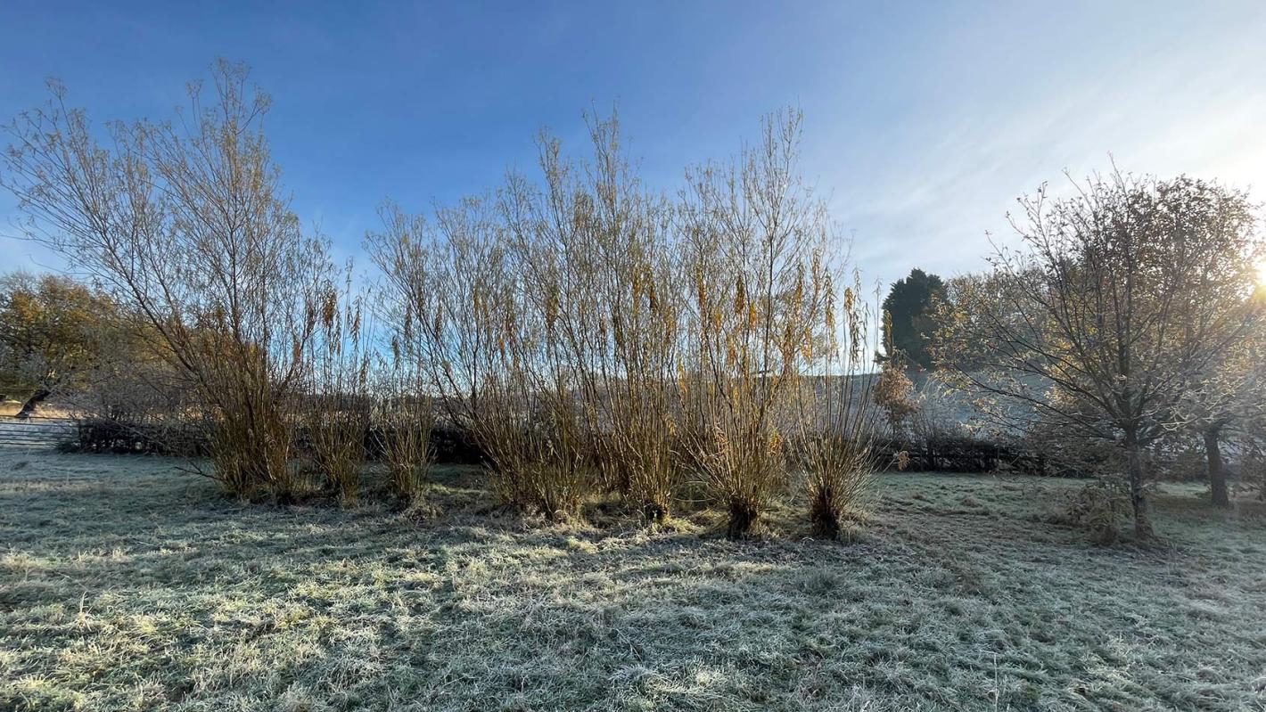 Green Team Away Day Photo Banner 3