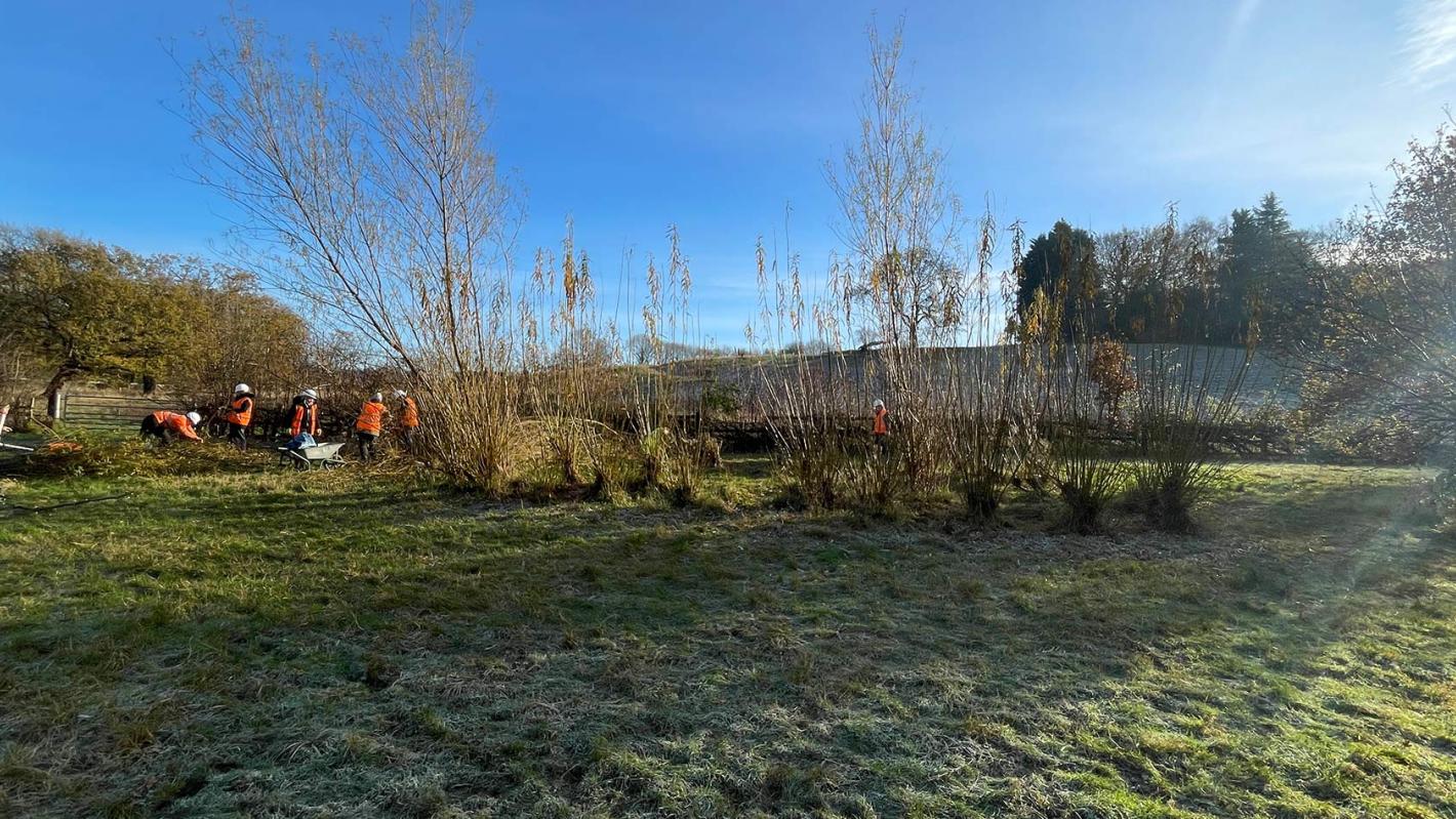 Green Team Away Day Photo Banner 2