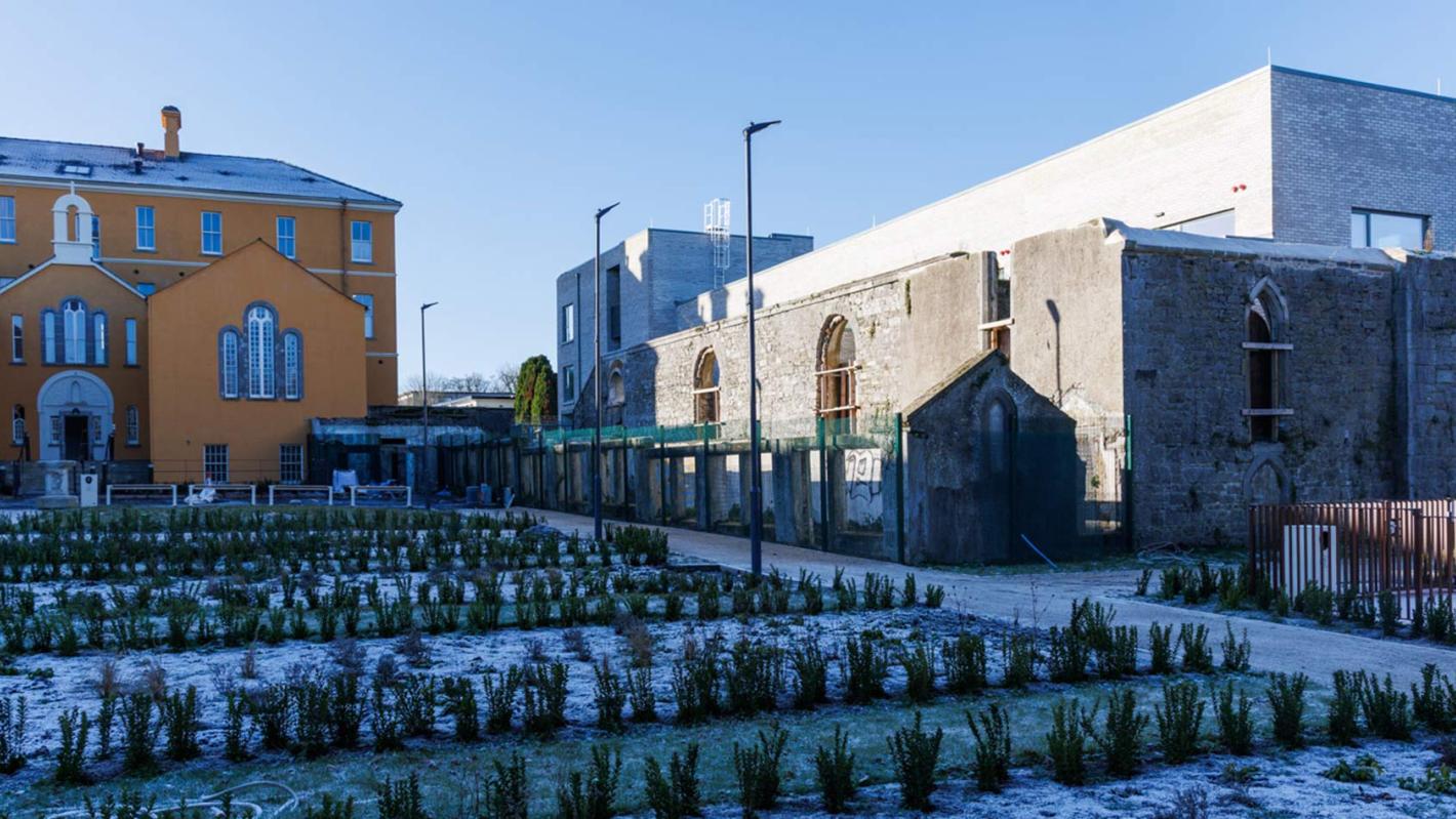 Convent Lands Banner 6 2026