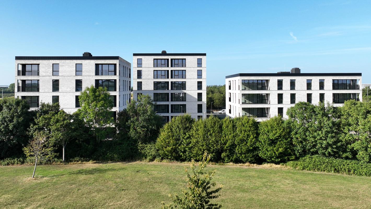 Housing at Holywell Banner Image 1