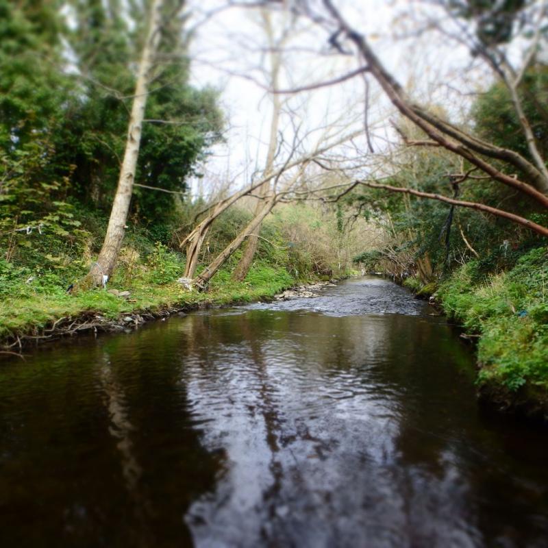 Dodder Greenway