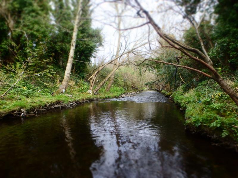 Dodder Greenway