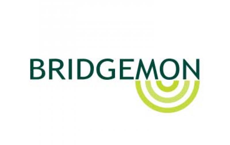 bridgemon