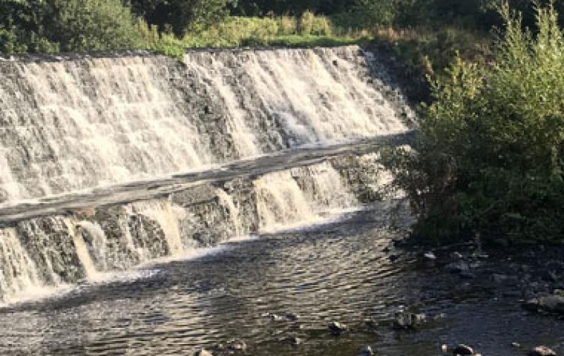 Dodder Greenway