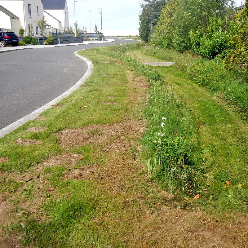 Fingal and South Dublin Surface Water Management Listing Image