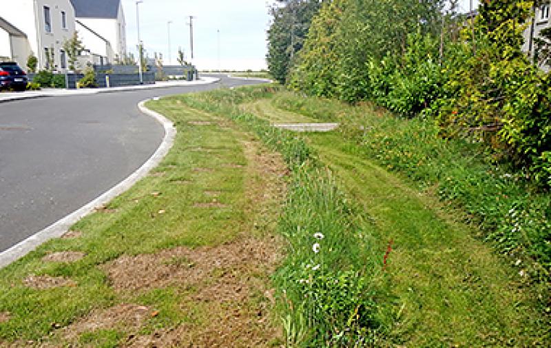 Surface Water Management in Fingal, Linkbar Image